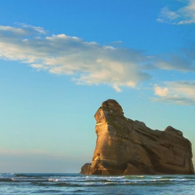 广州既绽贸易B直播号