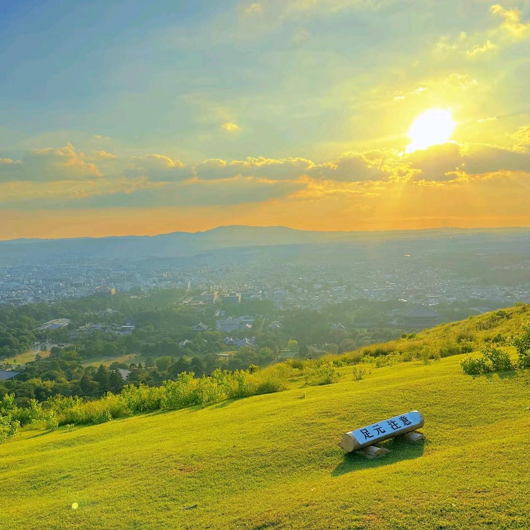 日本电器壹直播号