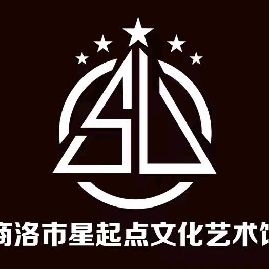 商洛舞极星舞蹈官方号