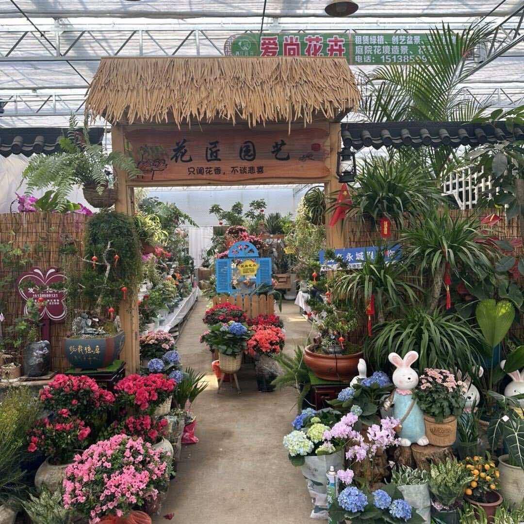 爱尚花卉店官方号