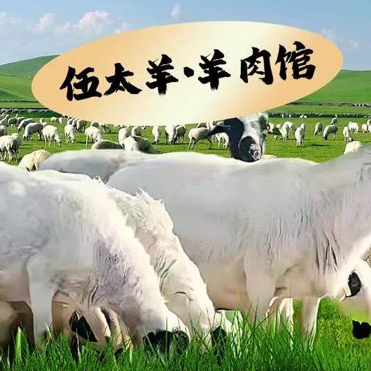 伍太羊·羊肉火锅(淡水店)