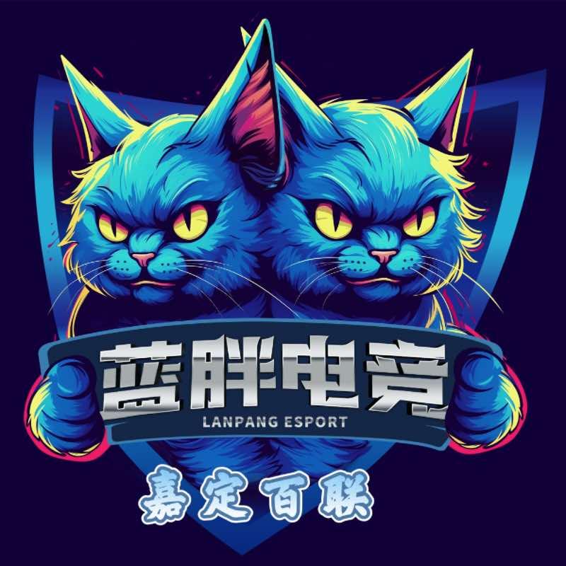 蓝胖电竞(嘉定百联店)