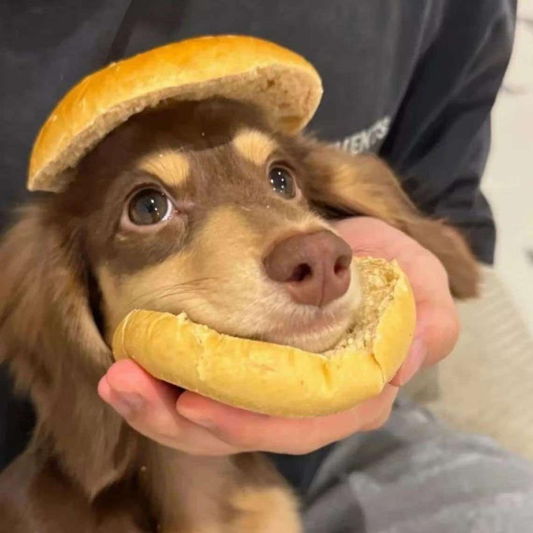 小王至燃爱(兴华大街店)