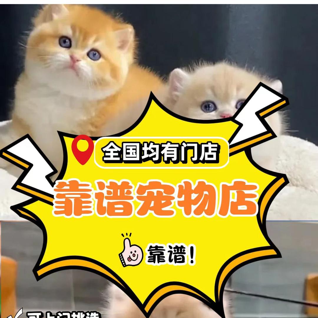 恒宠宠物官方号