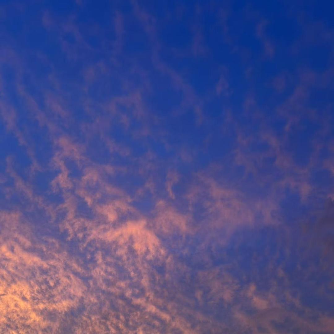 闻昭商贸1直播号