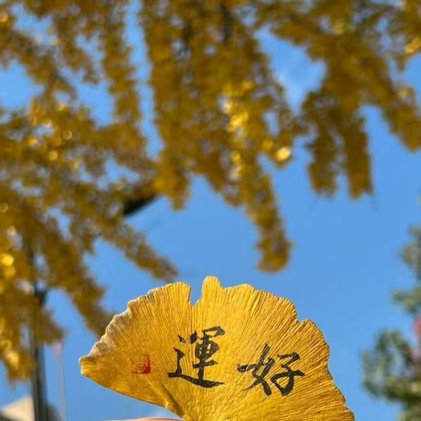 洄関嗱（先州）