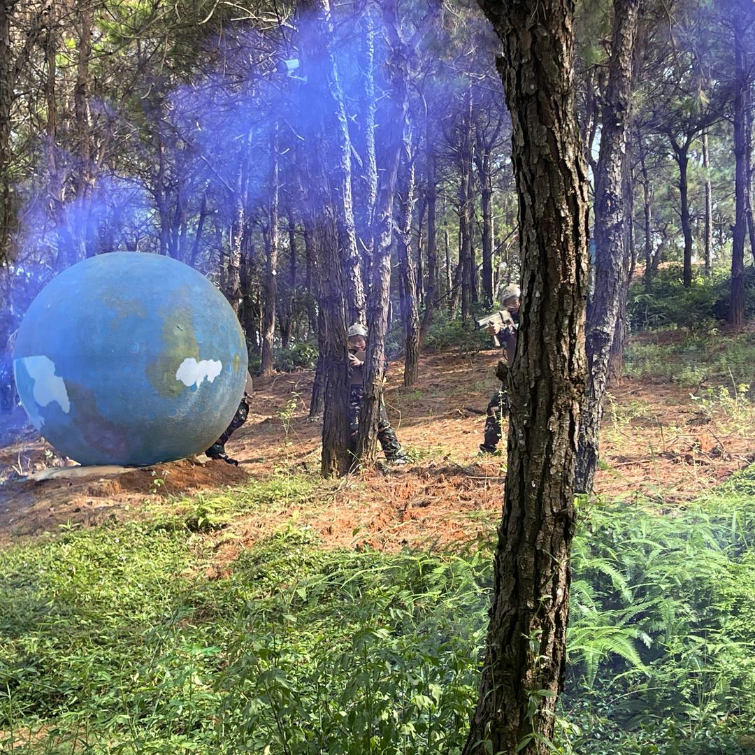 鸿星特训夏令营