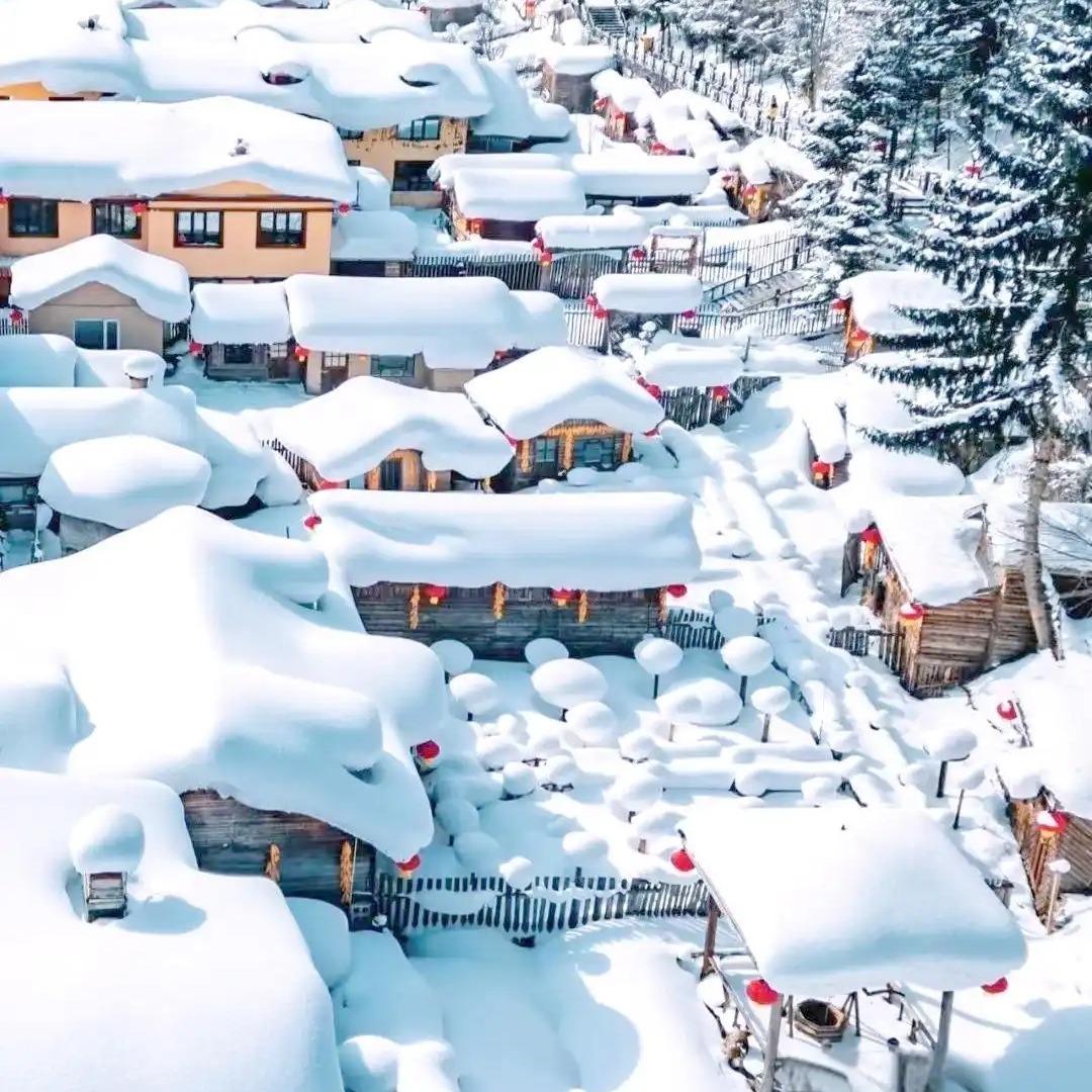 中国国际旅行社-哈尔滨雪乡旅游直播