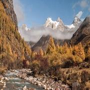 广禅结缘商贸号