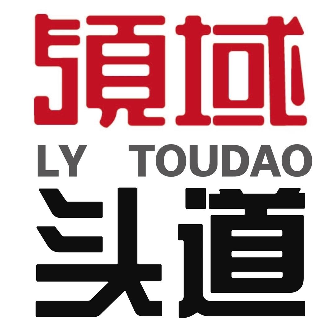 领域头道头疗养发