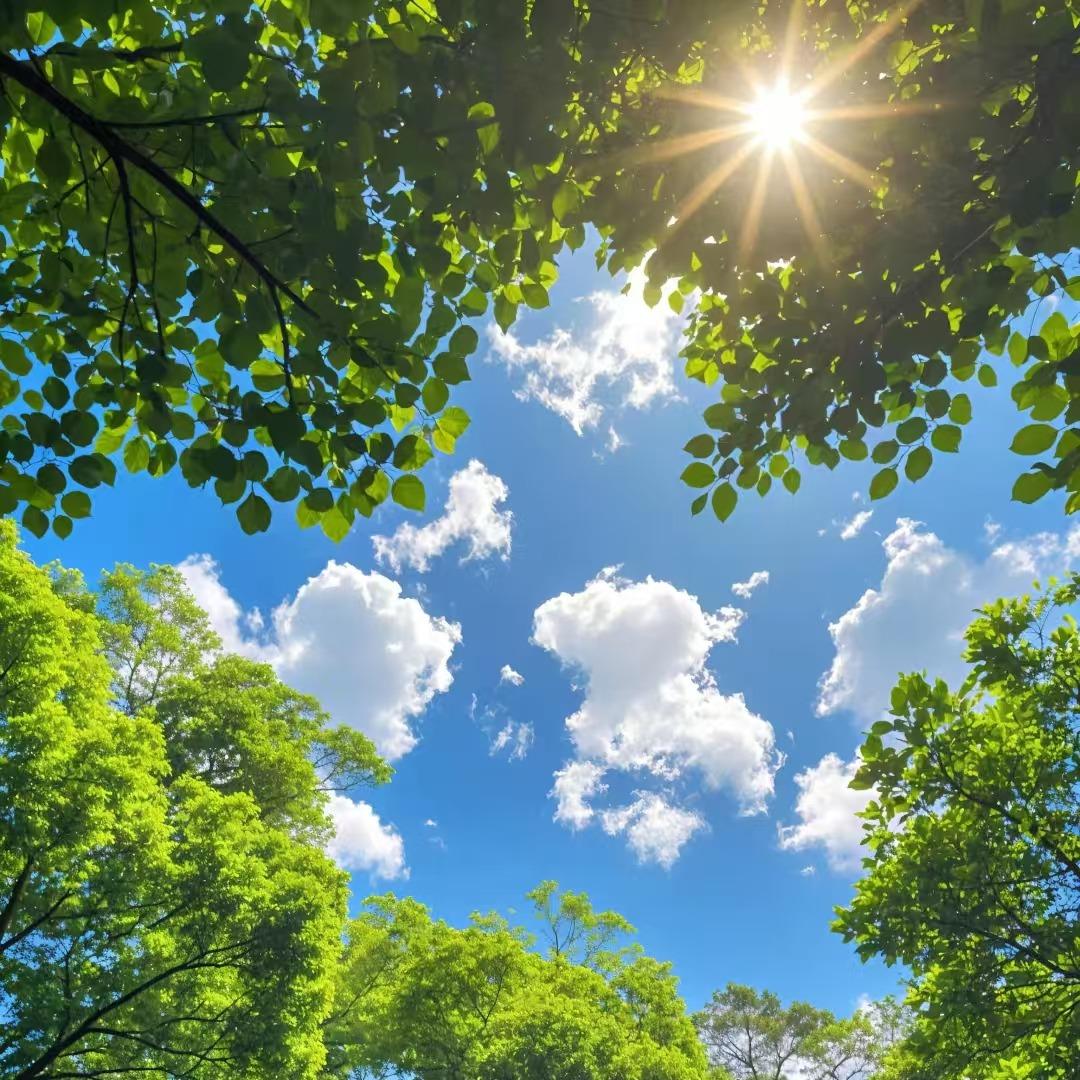 落落大方的直播号