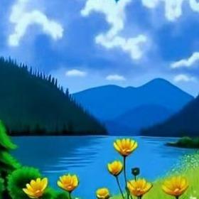 黑乎乎的直播号