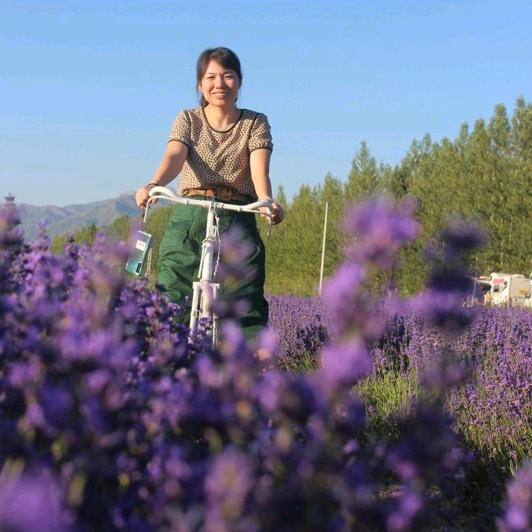 衡南县岐山镇多喜爱专卖店