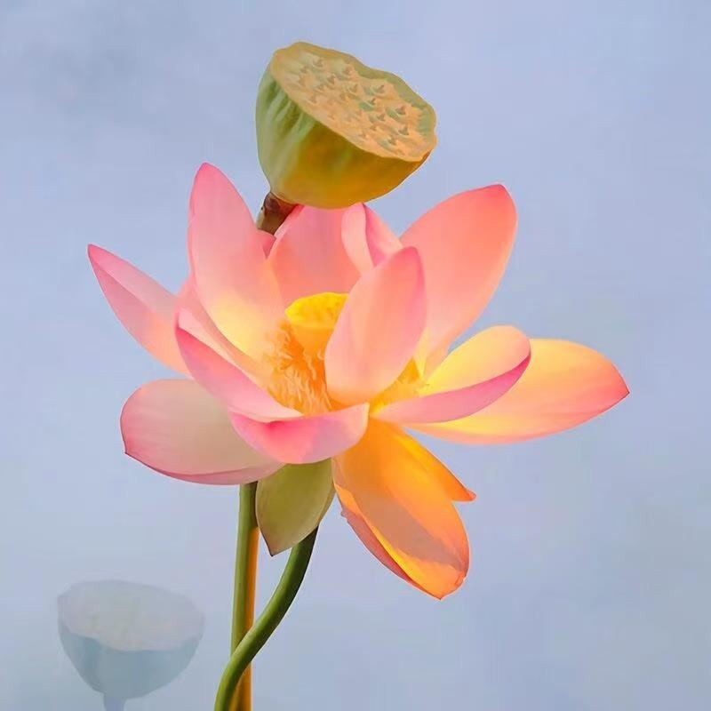 宸光莅临里文化