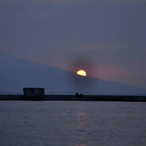 idd带你玩直播号