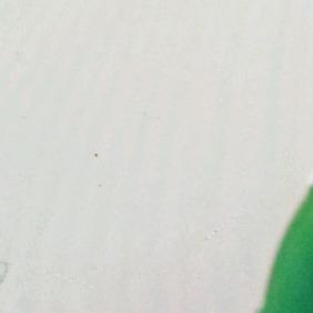 苏北五金批发(梅园新村店)豪杰瑞55直播号