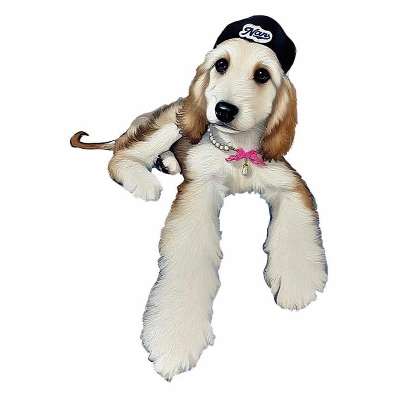 宠颜(金天地花园店)官方号