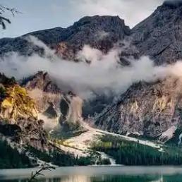 觅鳕贸易8直播号