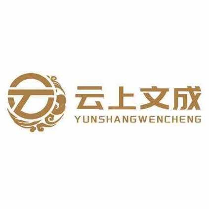 云上文成（专属）顾问