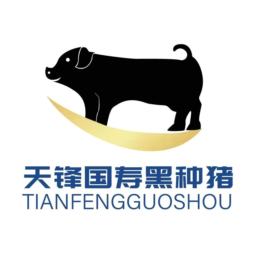 天锋国寿黑种猪