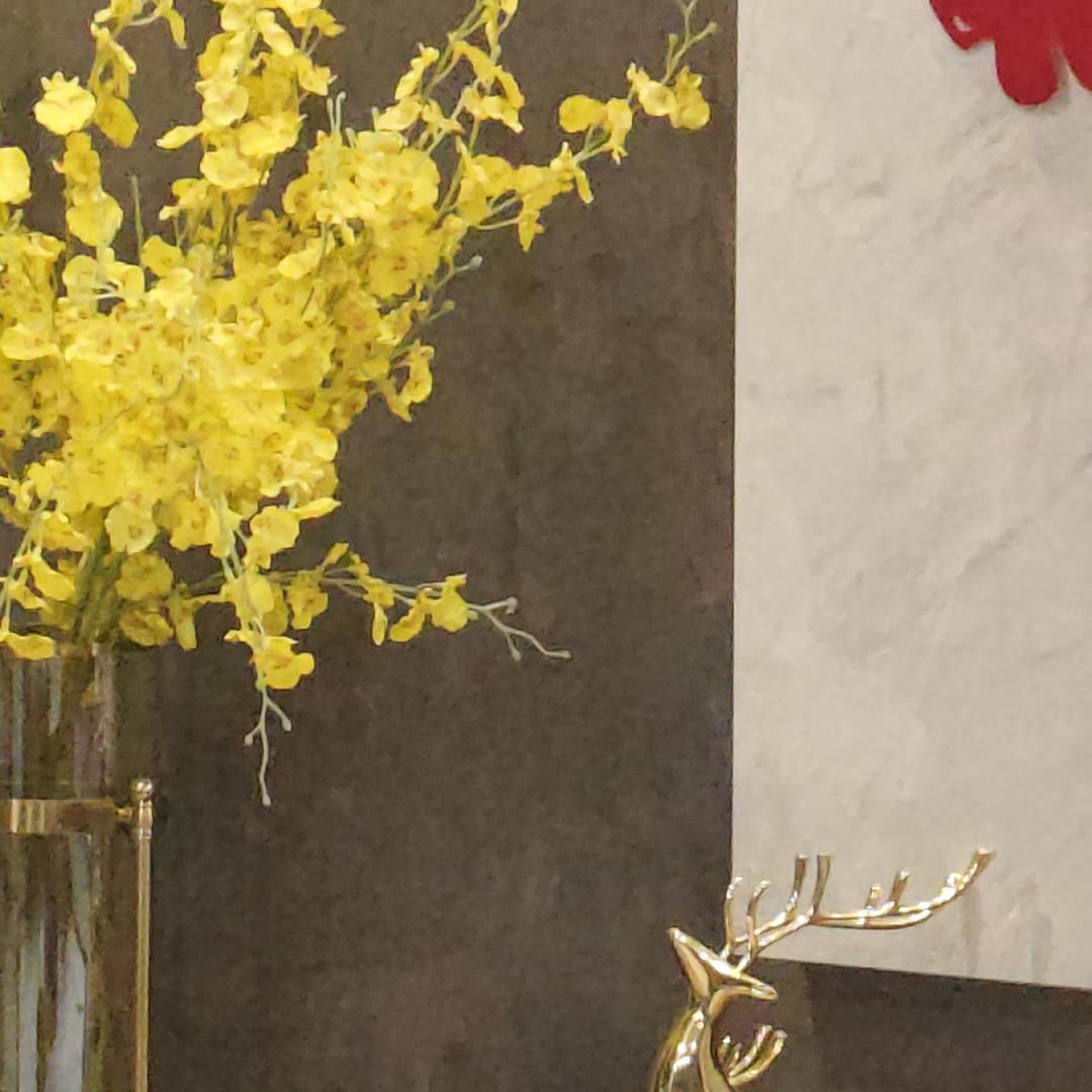 敖汉爱登堡男装