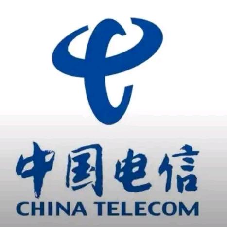 中国电信(河西大街营业厅)