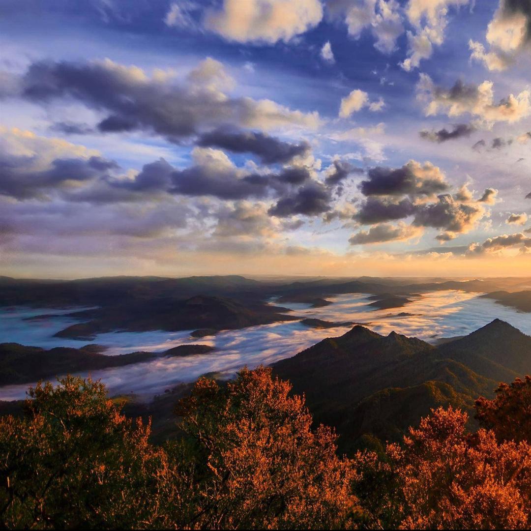 杨公零食小铺淮南市东乐餐饮