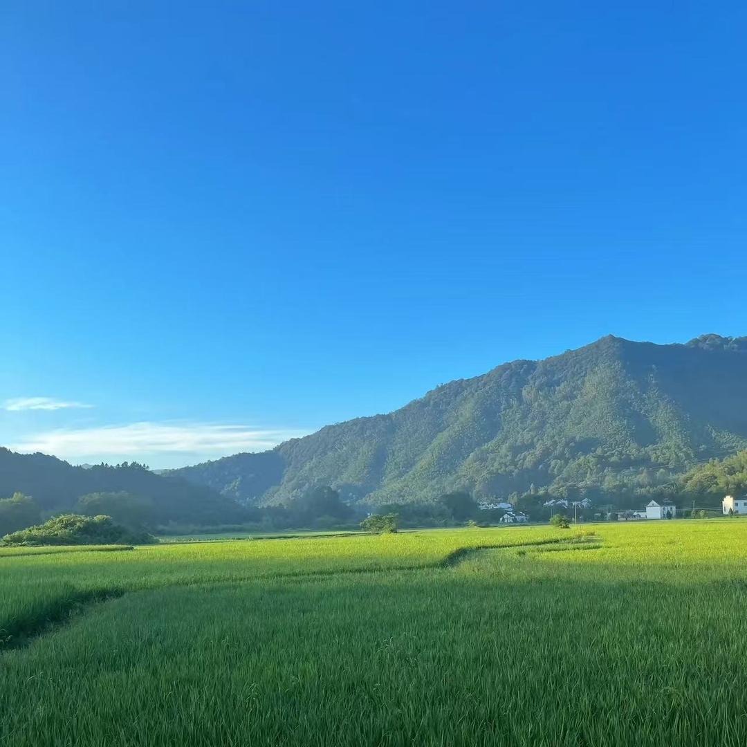 翠翠富双华机械设备