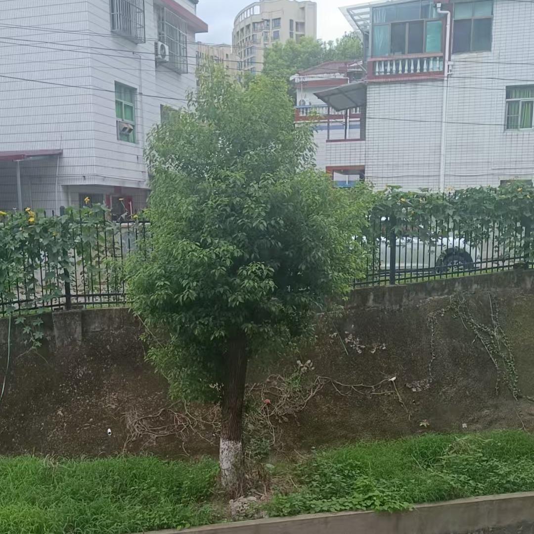 区蒂爱生活