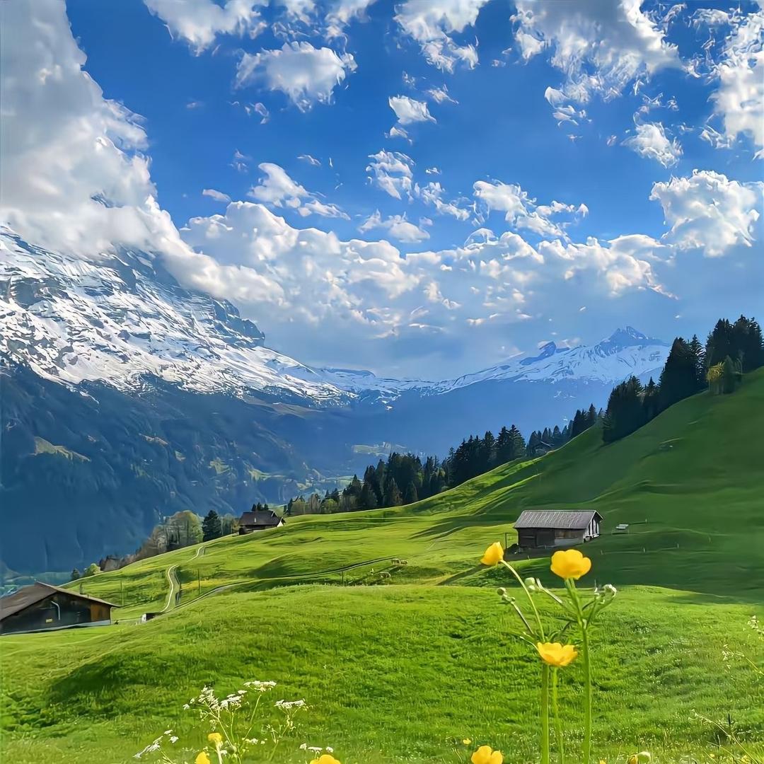 宁纺电子直播号