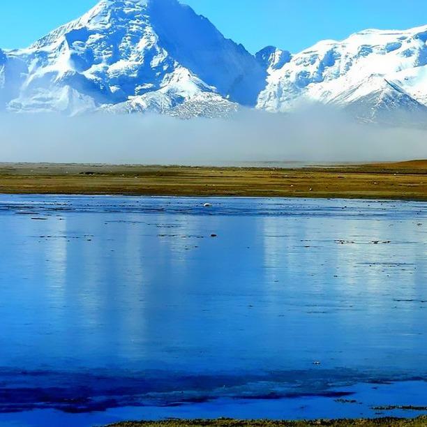 吉和小胡龙直播号