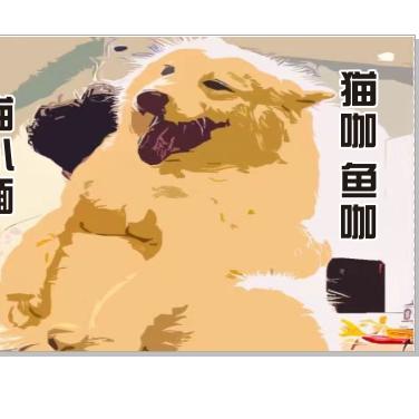 喵小缅猫咖@鱼咖