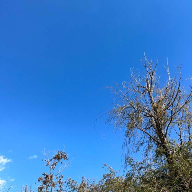 木生元