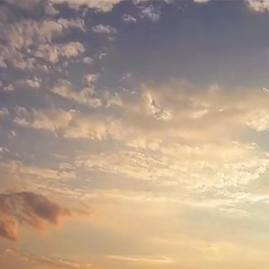 鑫奇-全域跑量 （池雀）