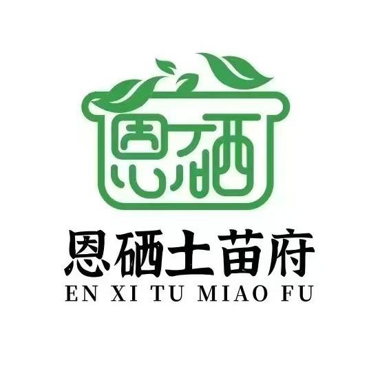 恩硒土苗府（湖北生态菜）