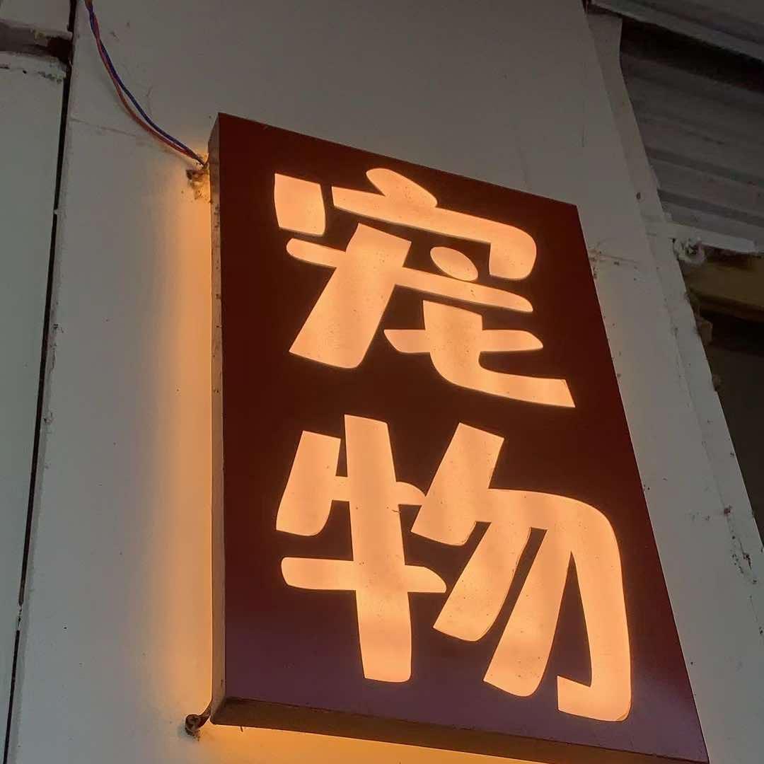 在苏州吴江养东德牧羊犬的小陈