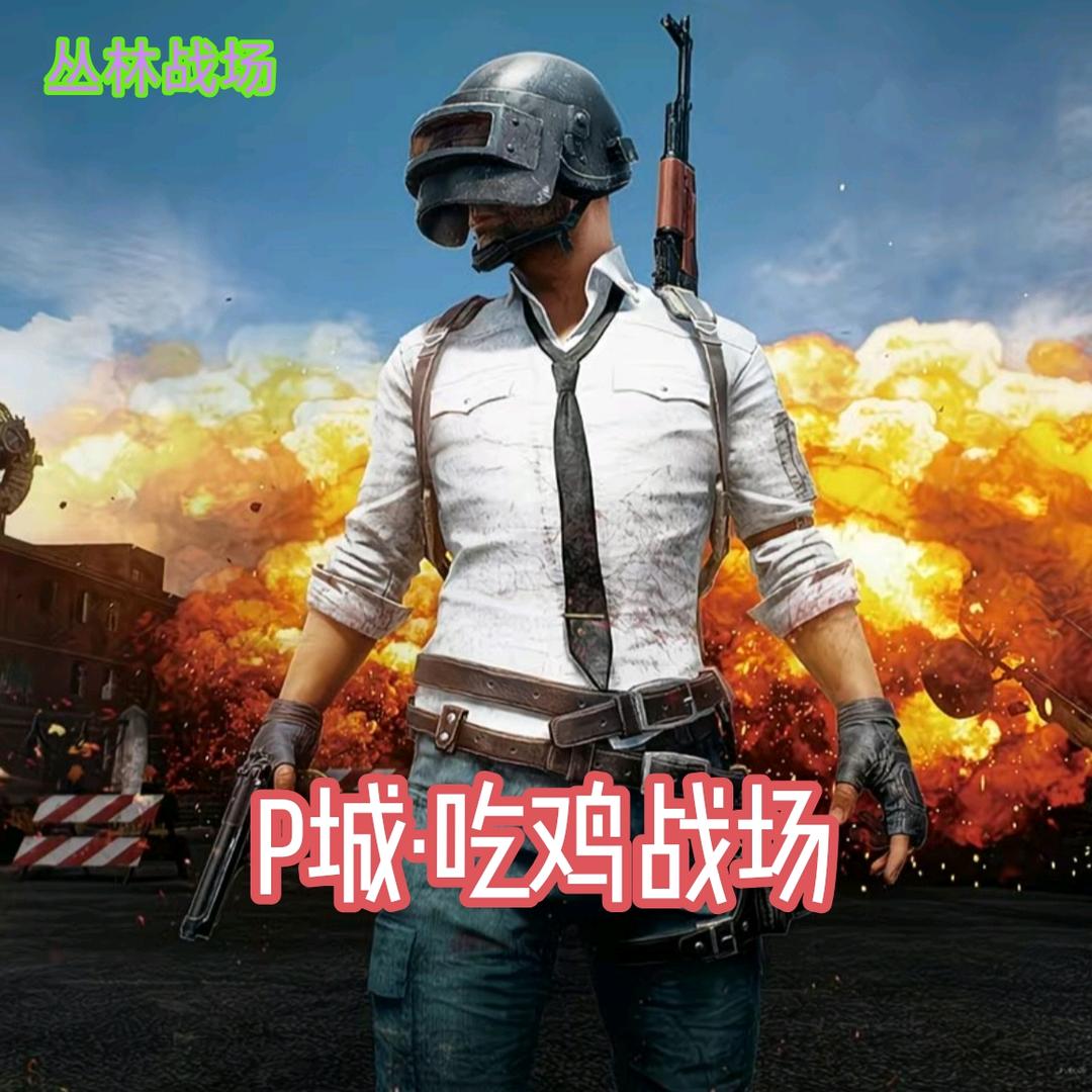 P城·吃鸡战场官方号（太原店）
