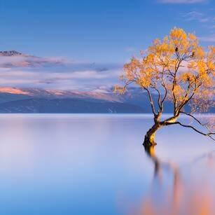 尊世情怀三亚市所司二直播 号