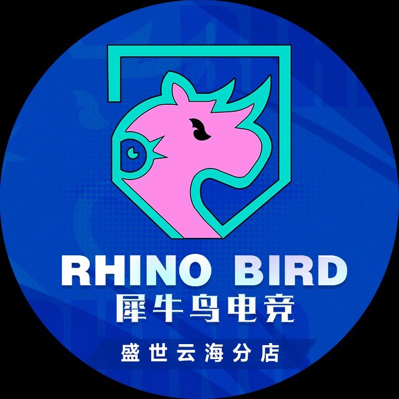 犀牛鸟电竞·盛世云海电竞
