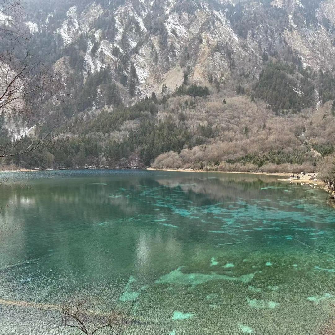 好运来1推广号
