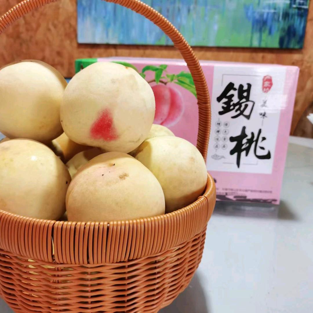 锡桃缘生态农业