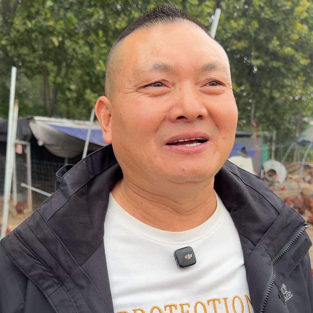 盛果留香庆丰耘桃木炖鸡-东环炖鸡王