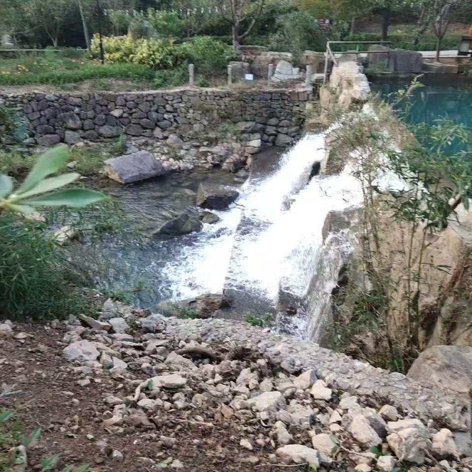 西门吹牛2直播号