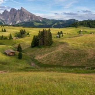 酒仙名酒城(亦庄经开店) 青春酒城直播号