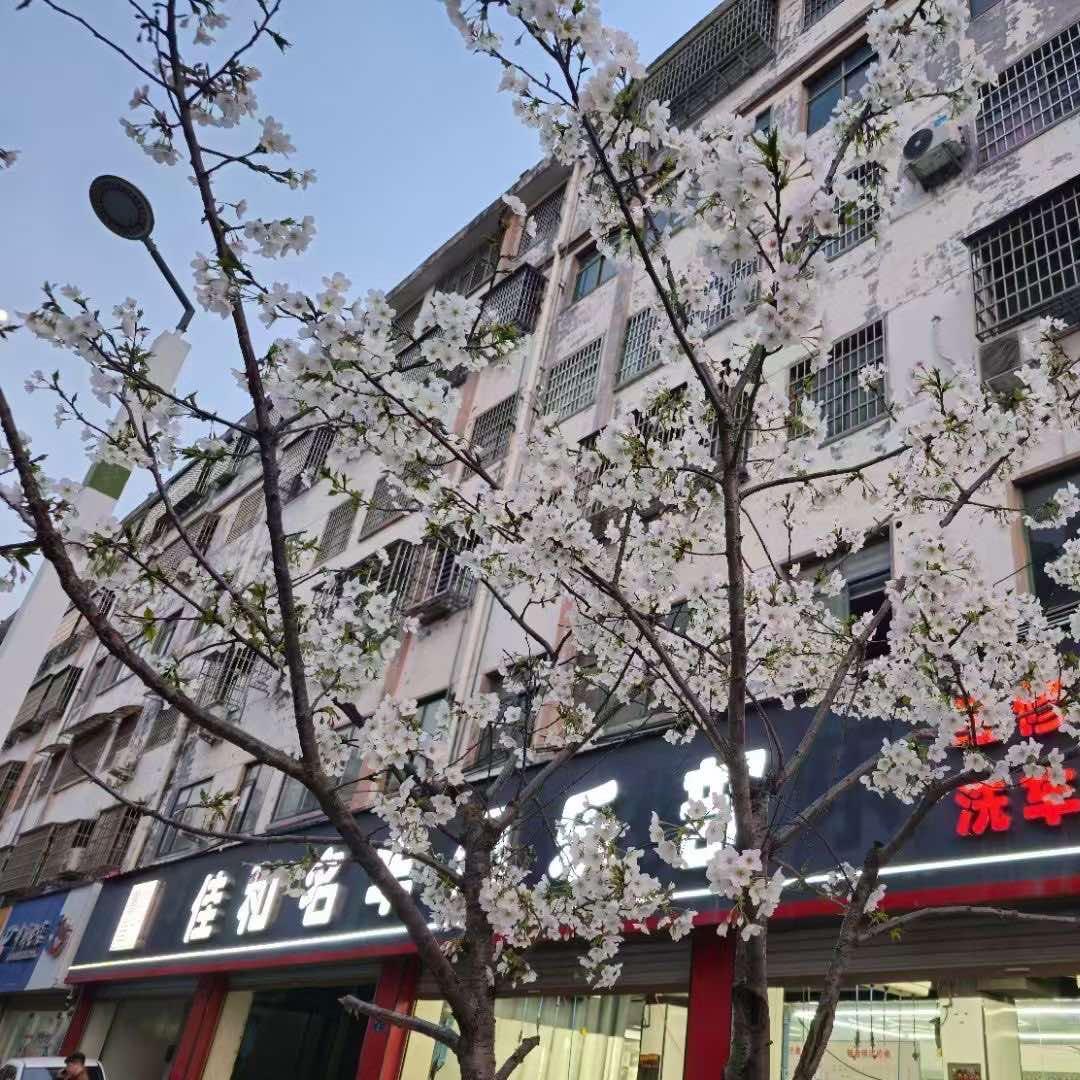 平舆县佳和汽车维修服务中心