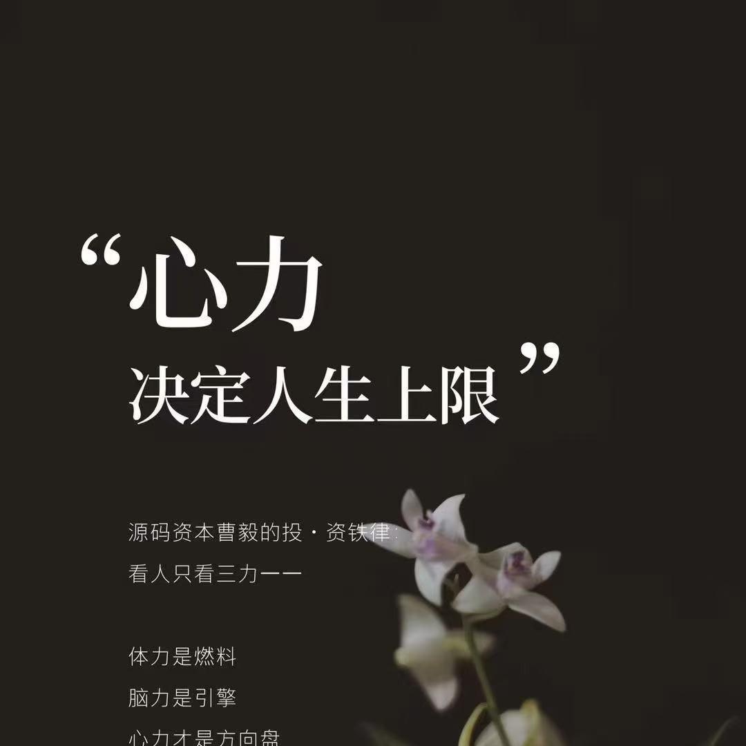 隆海德优直播二号