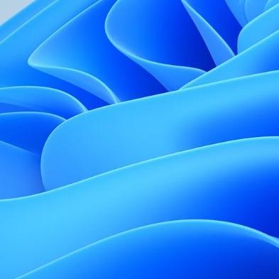 梦动少83厘米直播号