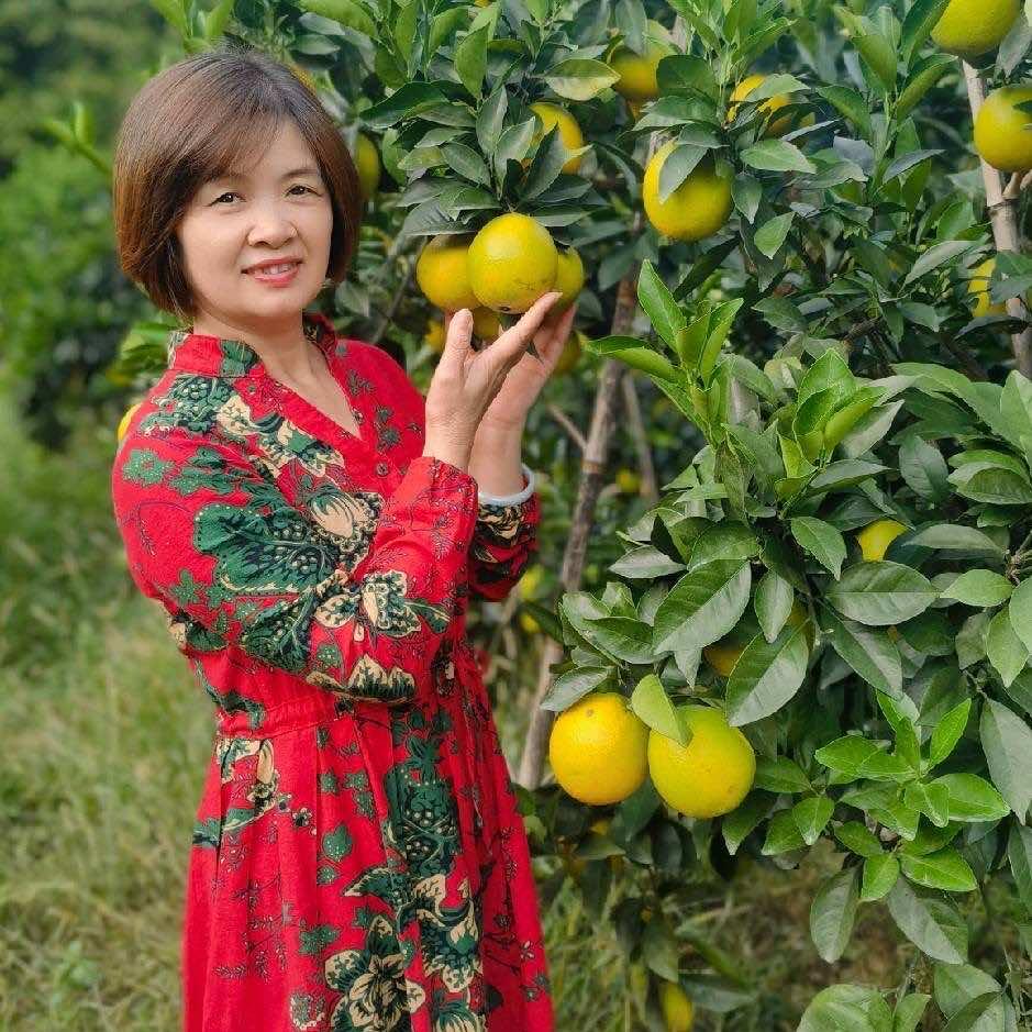 游玉凤鹏橙新鲜水果铺子