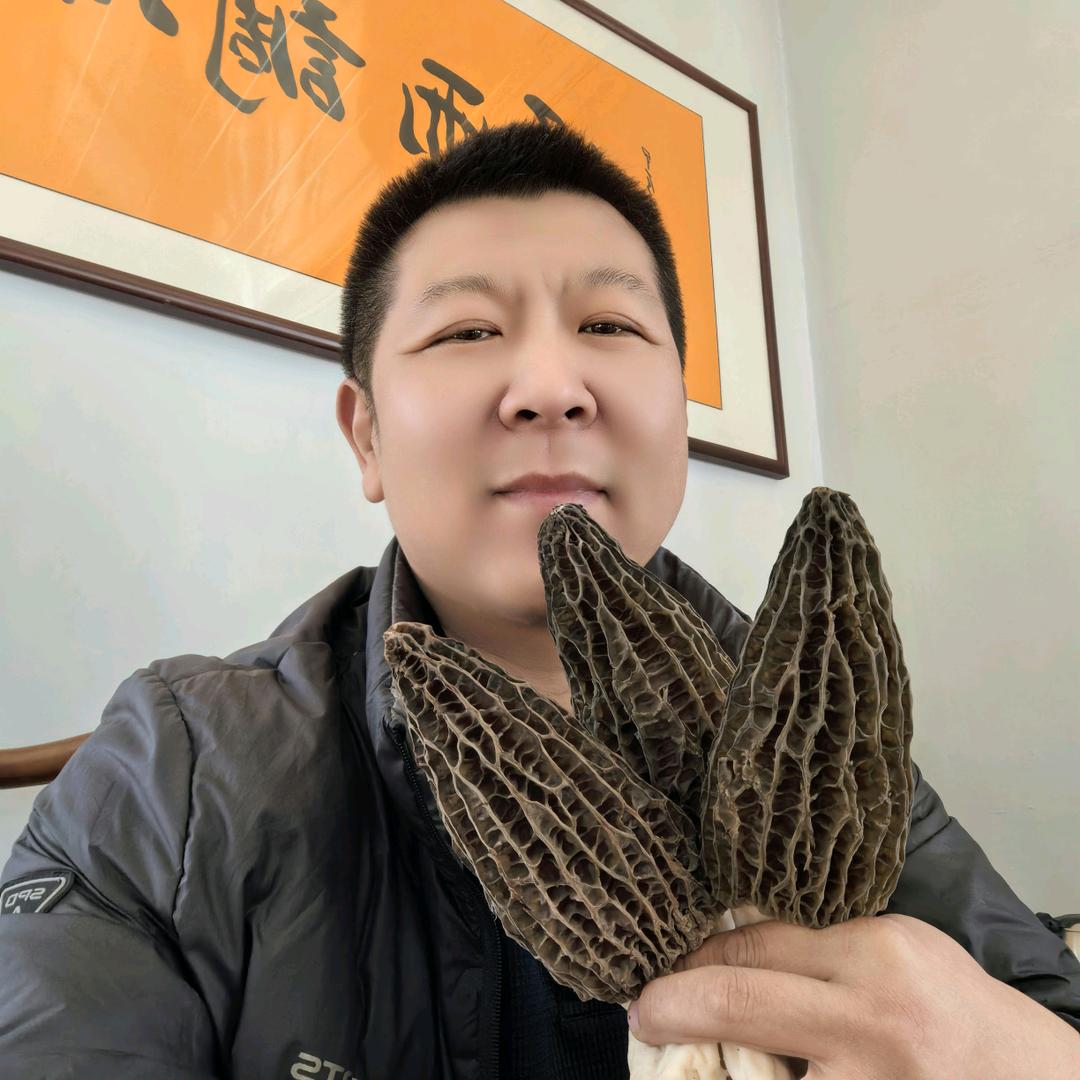 天合羊肚菌种植-小杨哥