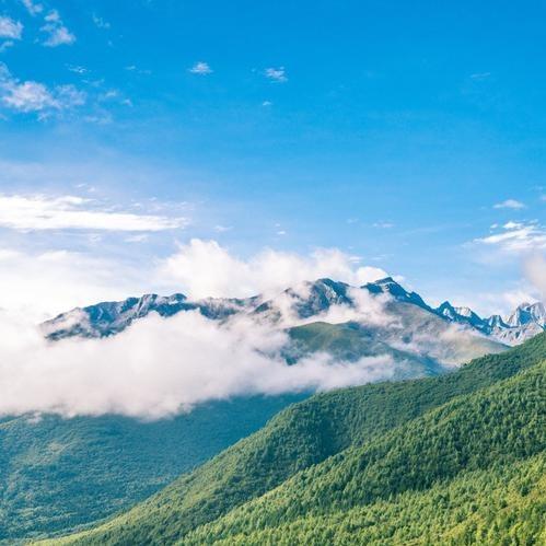 好伐测温直播号